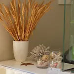 ホテル Aroma Glifada (Thasos)