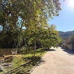 Aroma Glifada (Thasos)