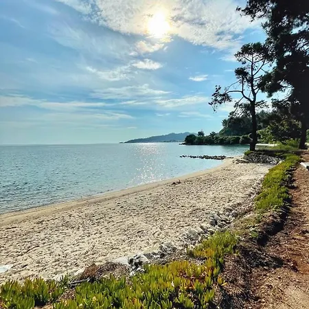 Hotel Aroma Glifada (Thasos)