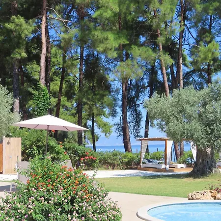 Aroma Glifada (Thasos)