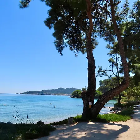 Aroma Ξενοδοχείο 3*