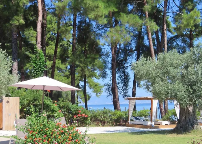 Aroma Glifada (Thasos)